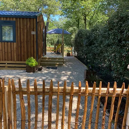 Prestige 641 라테스트드뷔크