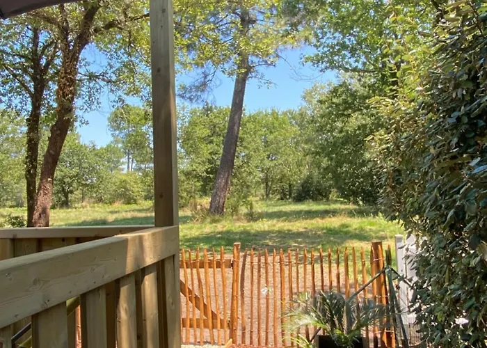 캠프장 Prestige 641 *