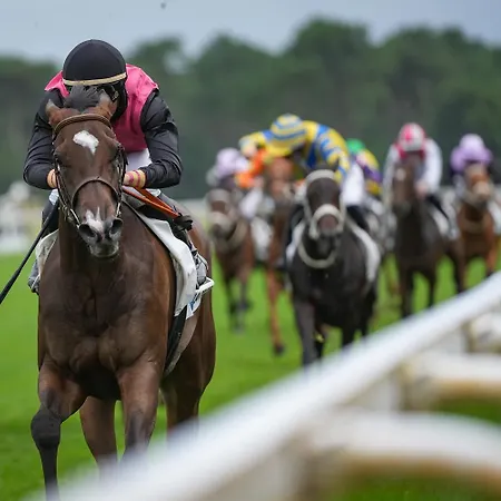 Prestige 641 Campeggio *